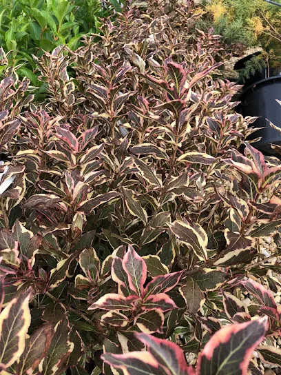 Image de Les Jardins de Guillaume